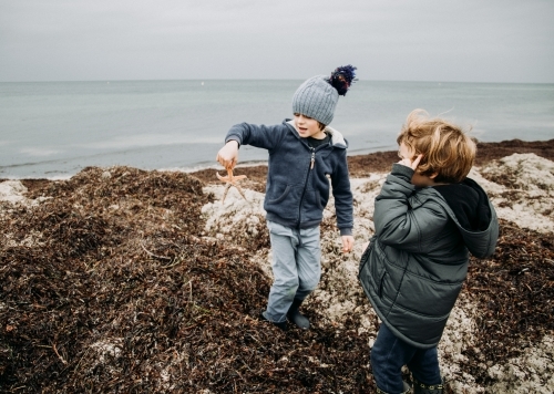 Young boys discover Starfish - Australian Stock Image