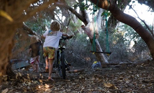 Young boys exploring in bush - Australian Stock Image