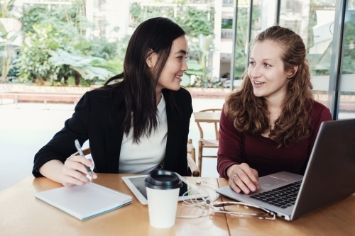 Young business women having casual meeting at coffee shop - Australian Stock Image