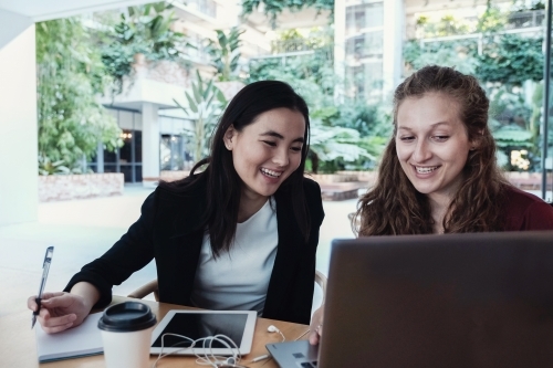Young business women having casual meeting at coffee shop - Australian Stock Image