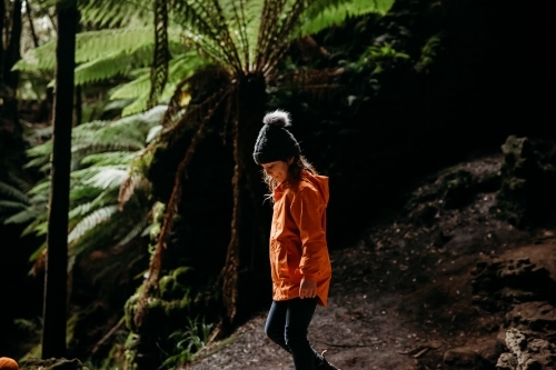 Young child on bush walk with tree ferns