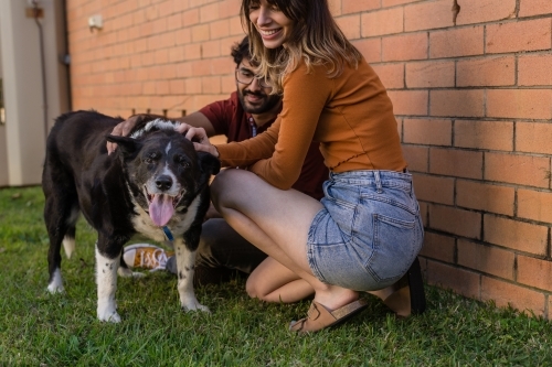 young couple with their dog in the back yard - Australian Stock Image