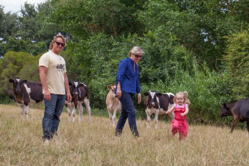 Young farming family with calves - Australian Stock Image