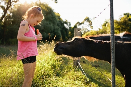 Young girl feeding a carrot to a horse - Australian Stock Image