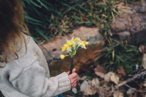 Young girl holding daffodils