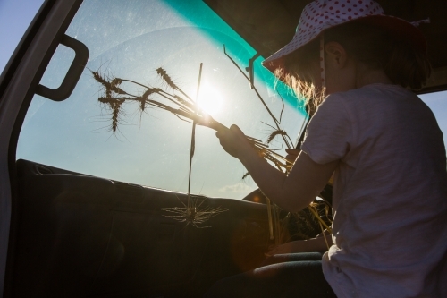 Young girl holding stalks of wheat with sunlight flare