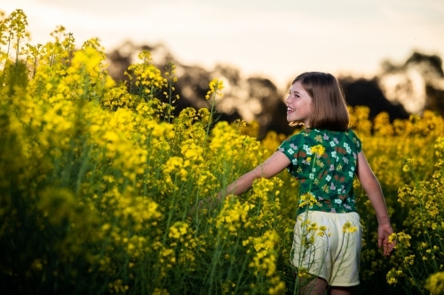 Young girl in canola crop - Australian Stock Image