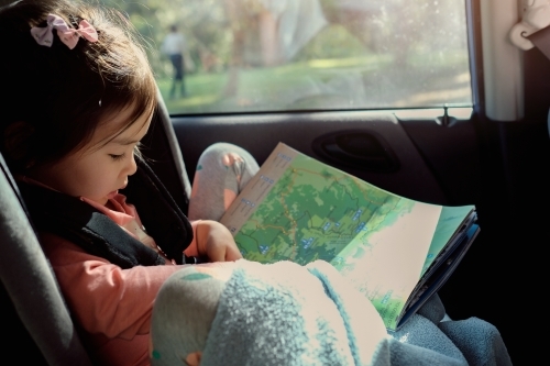 Young girl in car seat reading map on road trip - Australian Stock Image