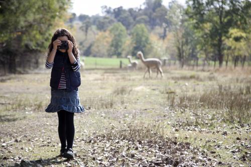 Young girl outside on a farm using a digital camera - Australian Stock Image