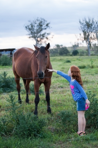 Young girl patting a horse in a  paddock - Australian Stock Image