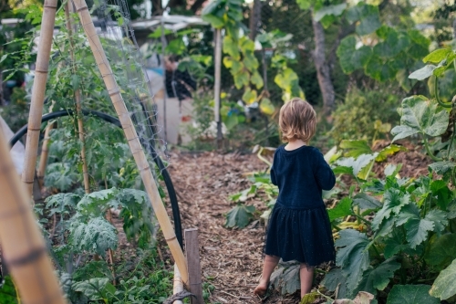 Young girl playing in permaculture garden