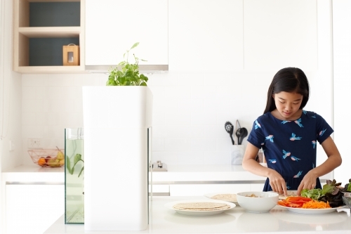 Young girl preparing healthy lunch in kitchen - Australian Stock Image