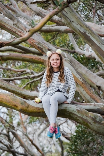 Young girl sits in a big gum tree. - Australian Stock Image