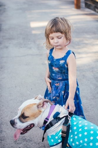 Young girl walking her dog - Australian Stock Image