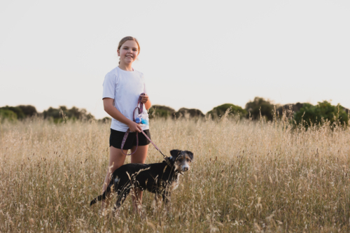 Young girl walking puppy through long dry grass in regional Australia - Australian Stock Image