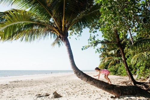 Young girls climbing up the trunk of a palm tree - Australian Stock Image