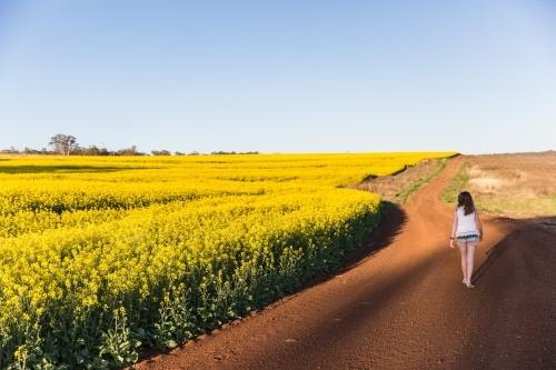 Young lady walking down dirt track on farm looking at field of canola crop