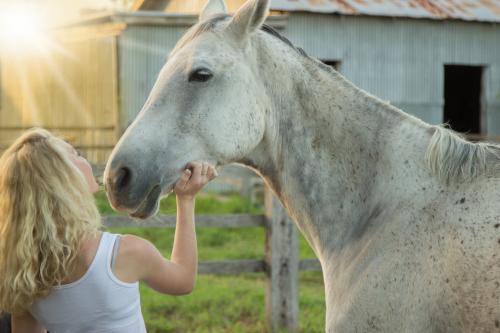 Young lady with her horse - Australian Stock Image