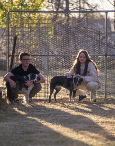 Young man and woman with two dogs against a fence - Australian Stock Image