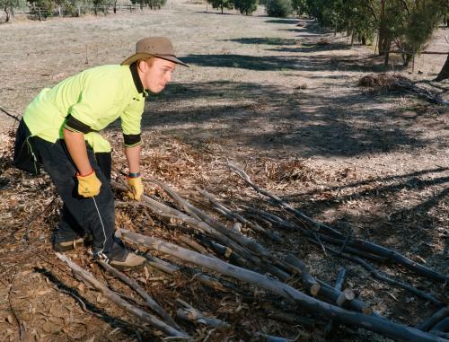 Young Man in Stockman Hat Clearing Chopped Branches - Australian Stock Image