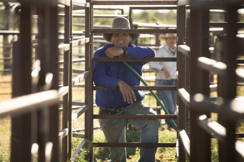 Young man leaning on the cattle yard gate - Australian Stock Image