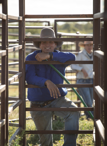 Young man leaning on the cattle yard gate - vertical - Australian Stock Image