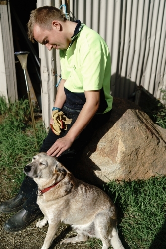 Young Man patting a Farm Dog - Australian Stock Image