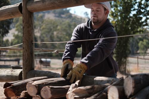Young man stacking logs at a farm - Australian Stock Image