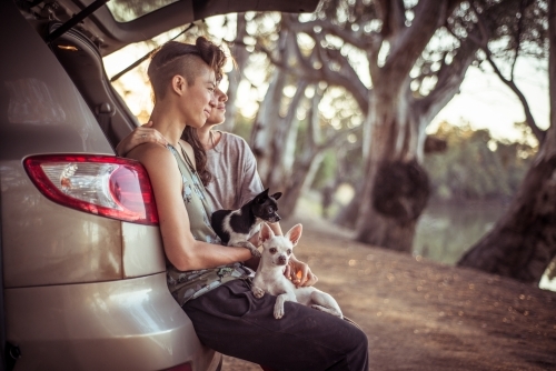 Young queer female couple camp by the river with two small dogs - Australian Stock Image