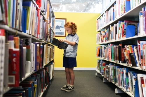 Young school girl looking at books in the Library - Australian Stock Image