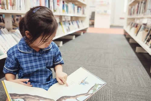 Young student girl reading in library - Australian Stock Image