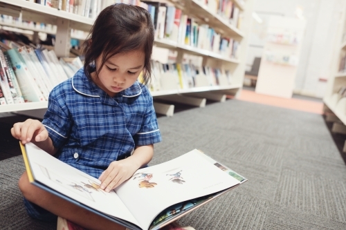 Young student girl reading in library - Australian Stock Image