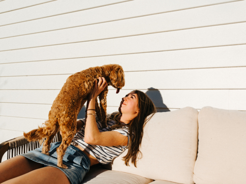 Young teenage girl playing with a small brown dog on the couch. - Australian Stock Image
