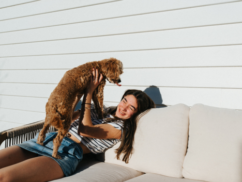 Young teenage girl playing with a small brown dog on the couch. - Australian Stock Image