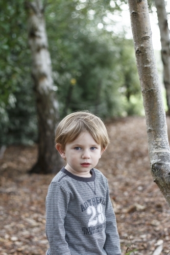 Young toddler boy amongst trees - Australian Stock Image