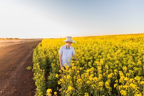 Young tween boy wearing hat in canola crop on farm next to dirt road - Australian Stock Image