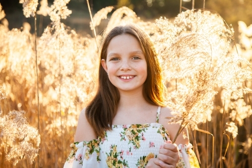 Young tween girl and bulrushes backlit by golden sunlight - Australian Stock Image