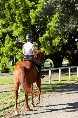 Young woman horse riding in park - Australian Stock Image