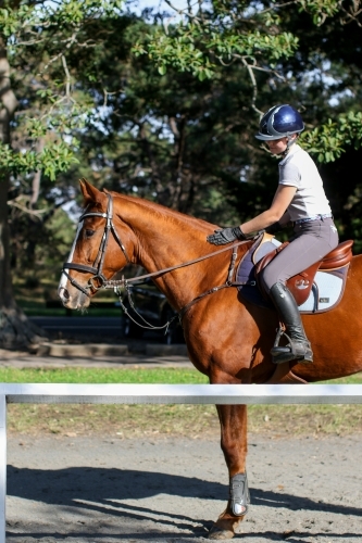 Young woman horse riding in park - Australian Stock Image