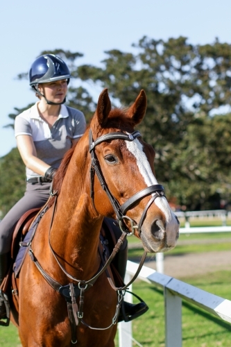 Young woman horse riding in park - Australian Stock Image