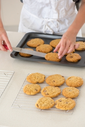 Young woman placing fresh cookies onto cooling tray