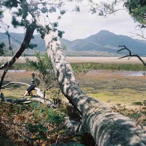 Young Woman Taking a Rest from Bushwalking - Australian Stock Image