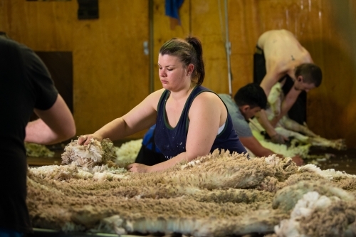 Young woman wool classing in shearing shed - Australian Stock Image