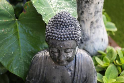 Zen buddhist statue in garden - Australian Stock Image
